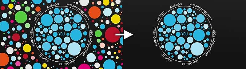 5d3d4fe4850abc76d7c1eab6_FilterBubble-p-800.jpeg