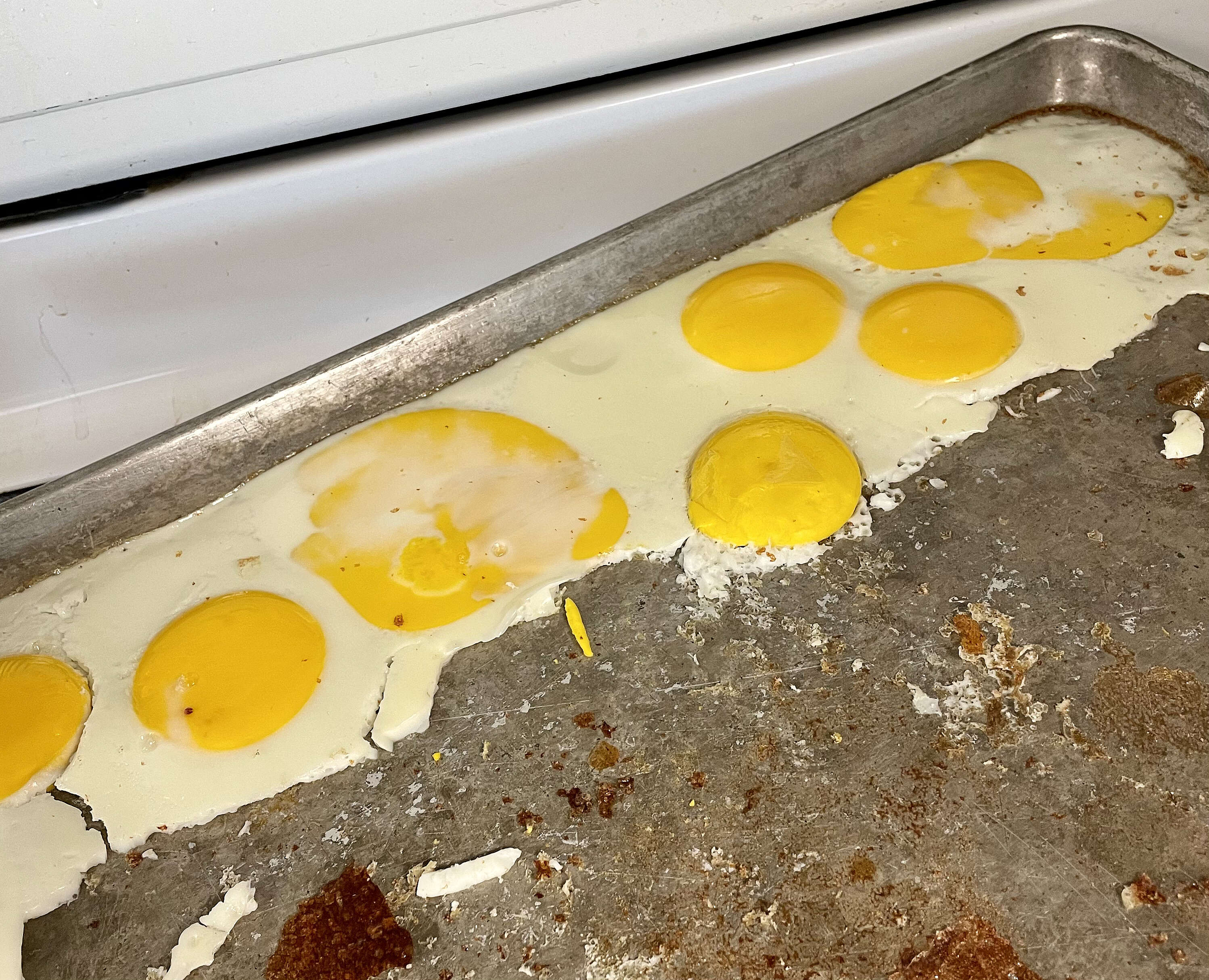 IMG_0103.jpg