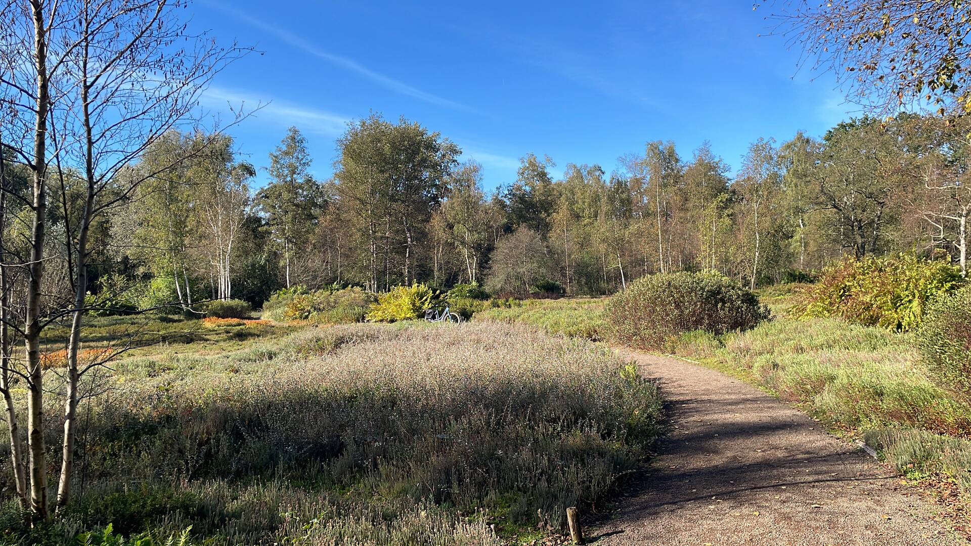 amstelveen-garden.JPG