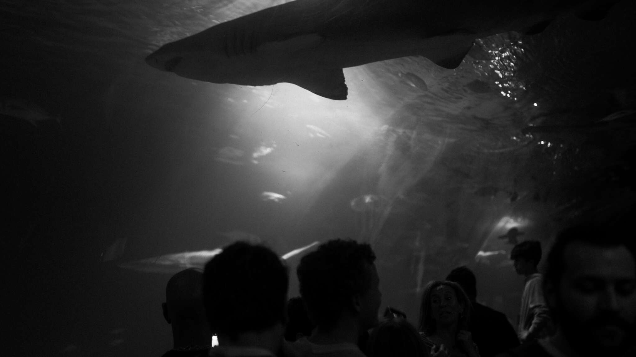 atmospot-1315.jpg