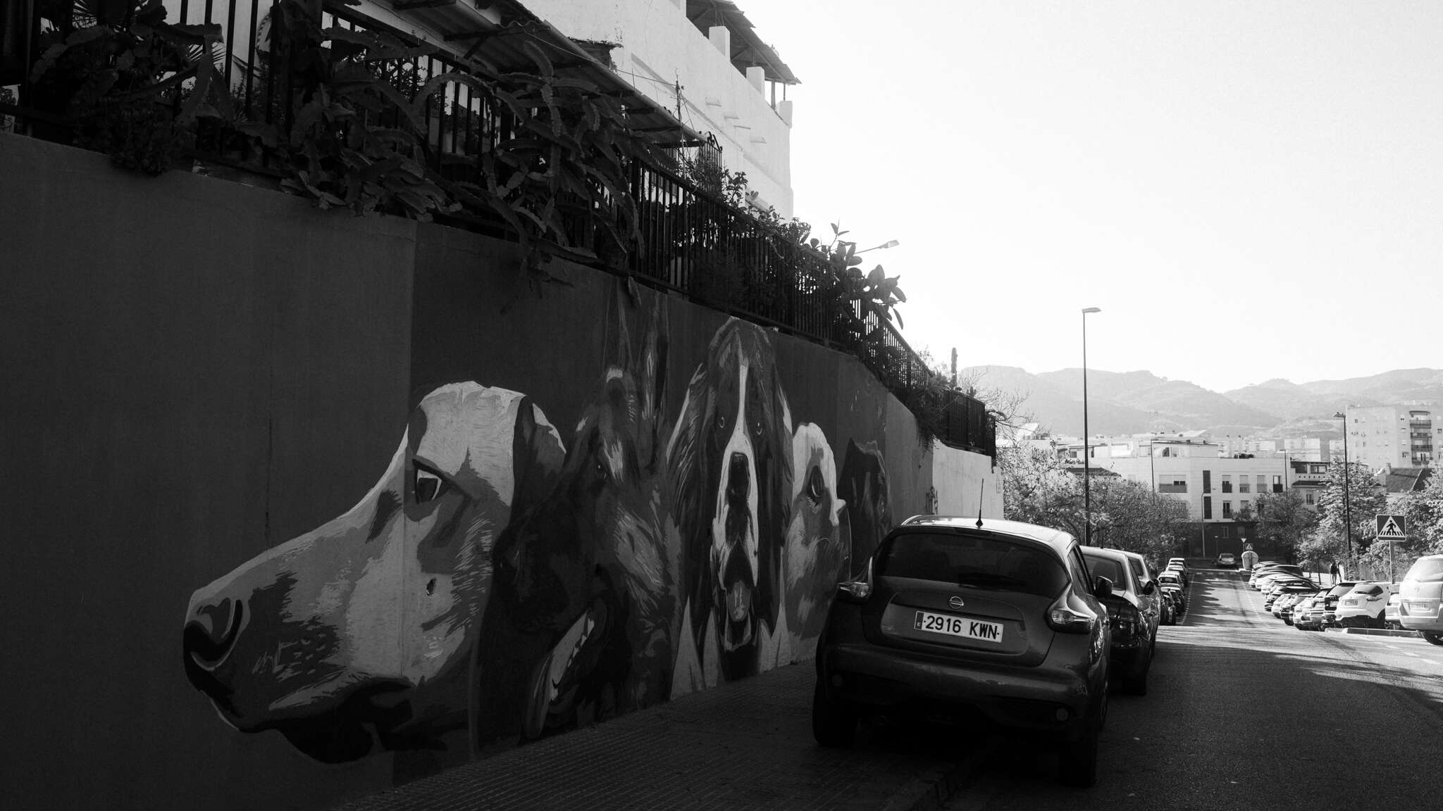 atmospot-1291.jpg