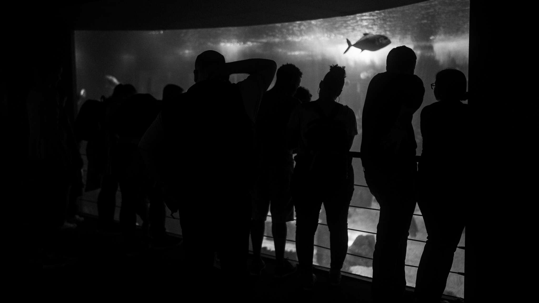 atmospot-1285.jpg