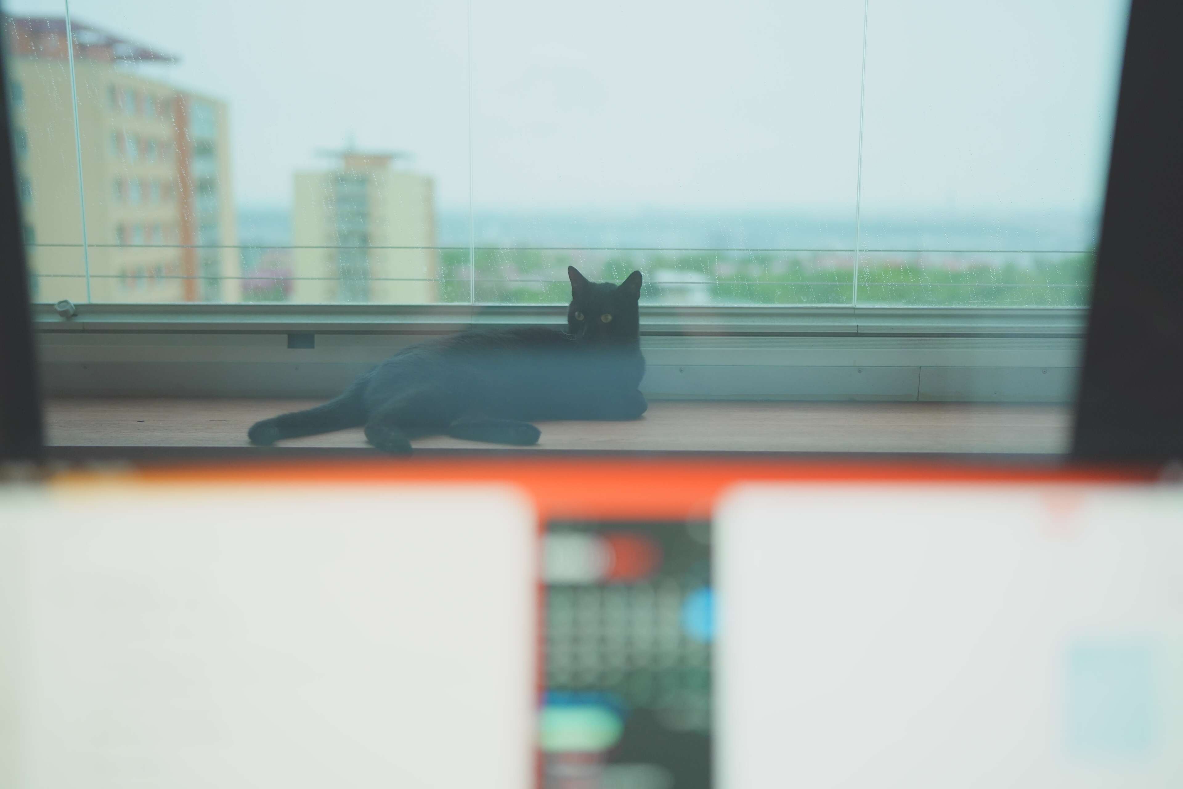 A7400582.jpg