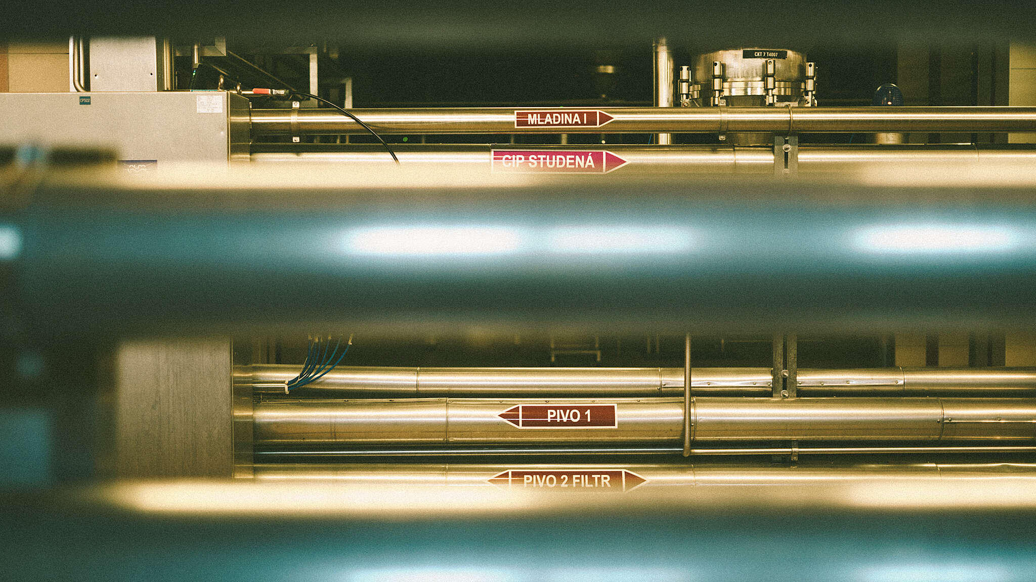 r_-063.jpg