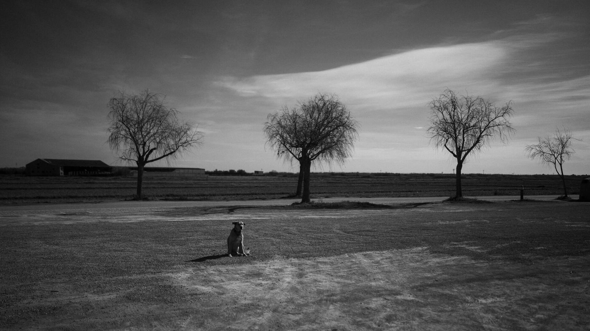atmospot-1144.jpg
