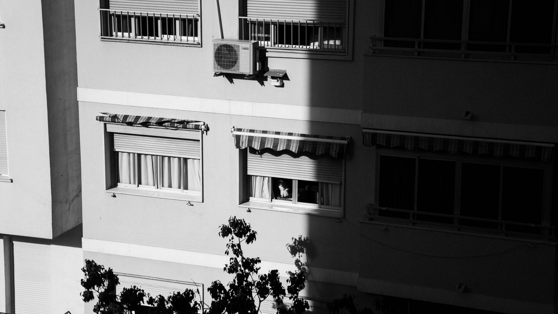 atmospot-1150.jpg