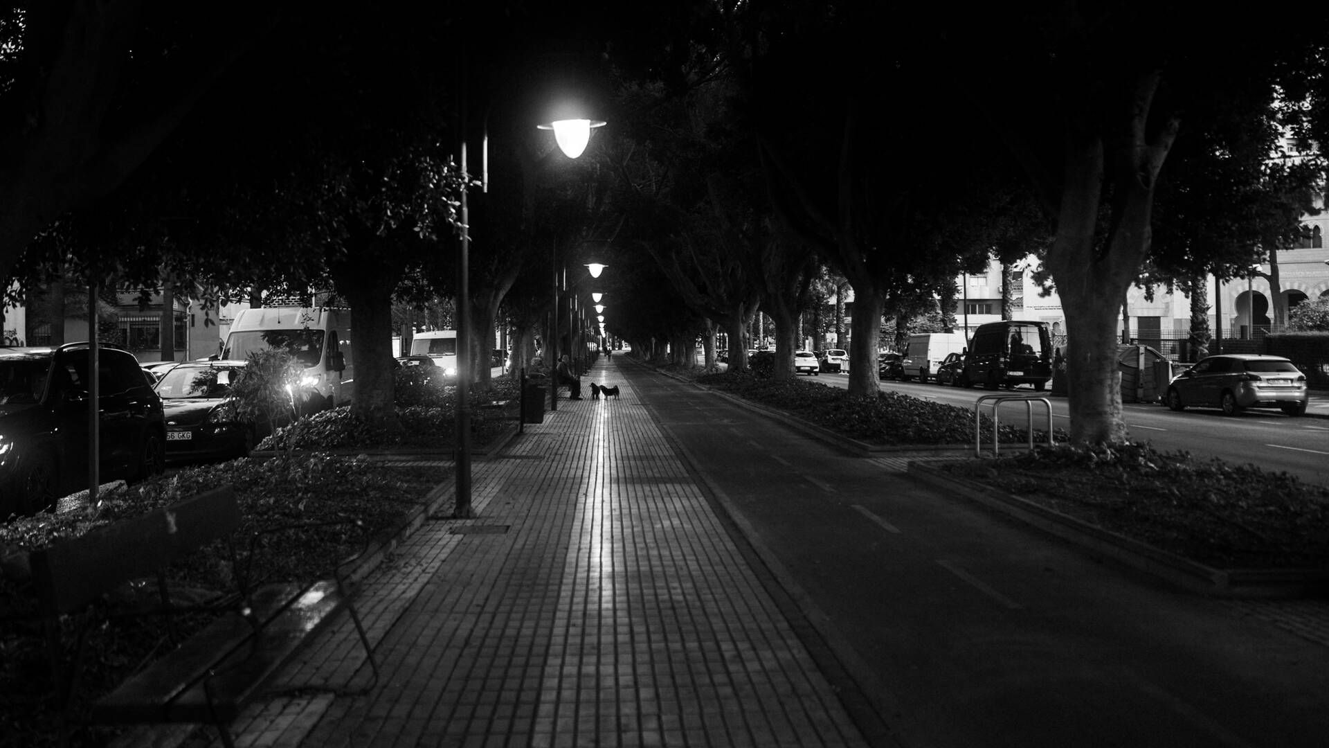 atmospot-1203.jpg