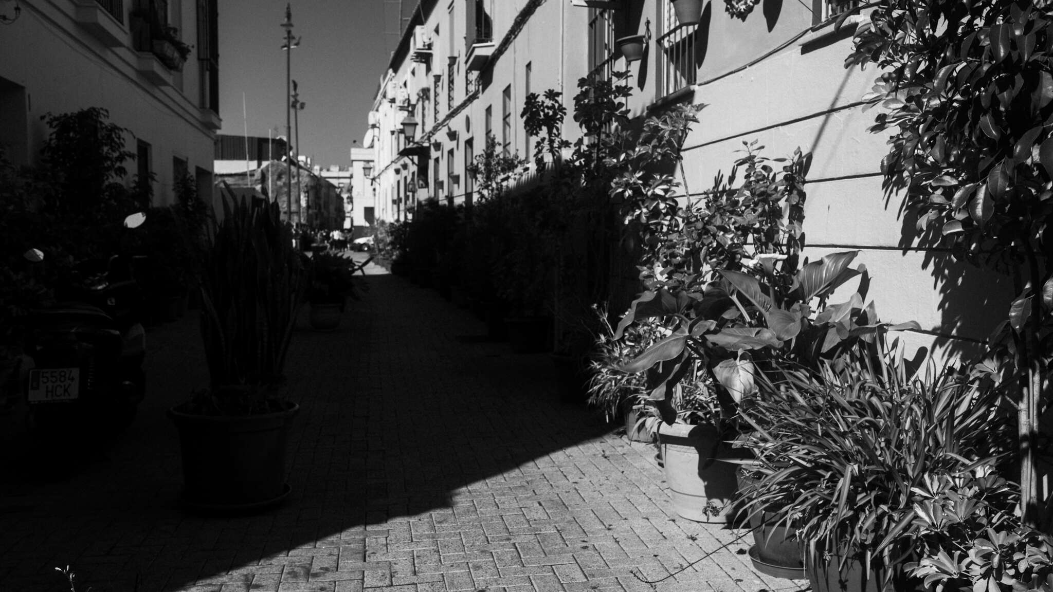 atmospot-1205.jpg