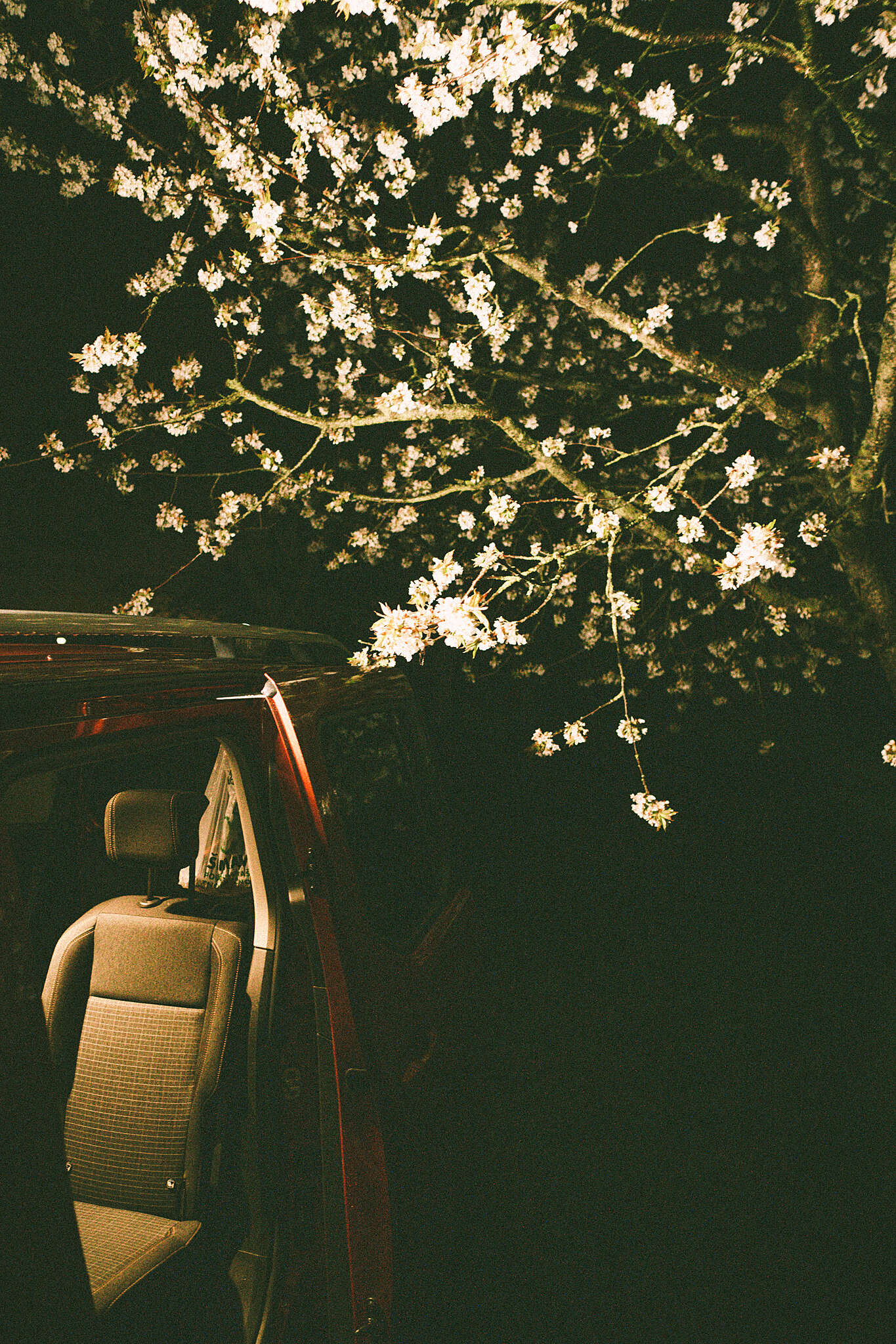 _A7_6473.jpg