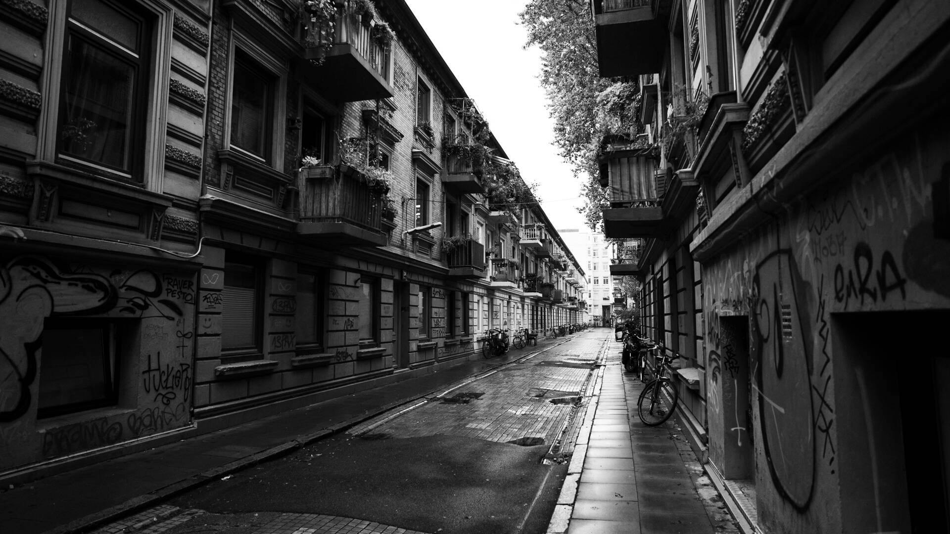 atmospot-37.jpg