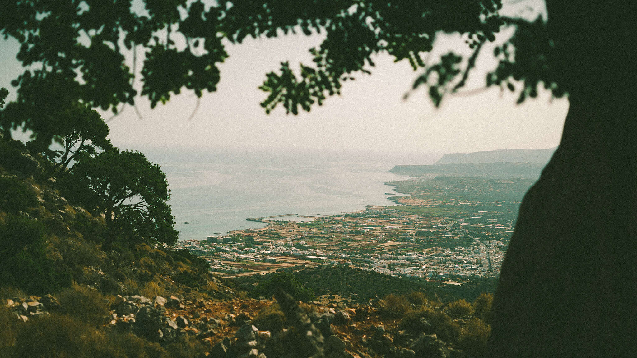 _A7_2465.jpg