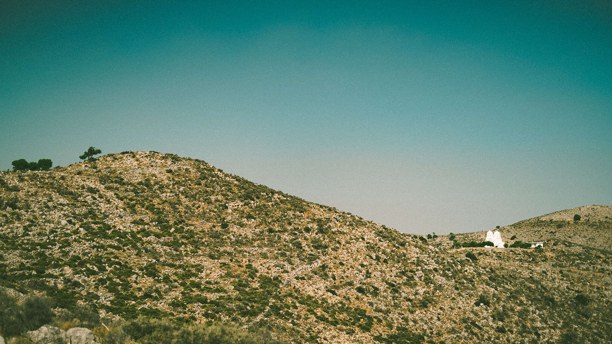 _A7_2466.jpg