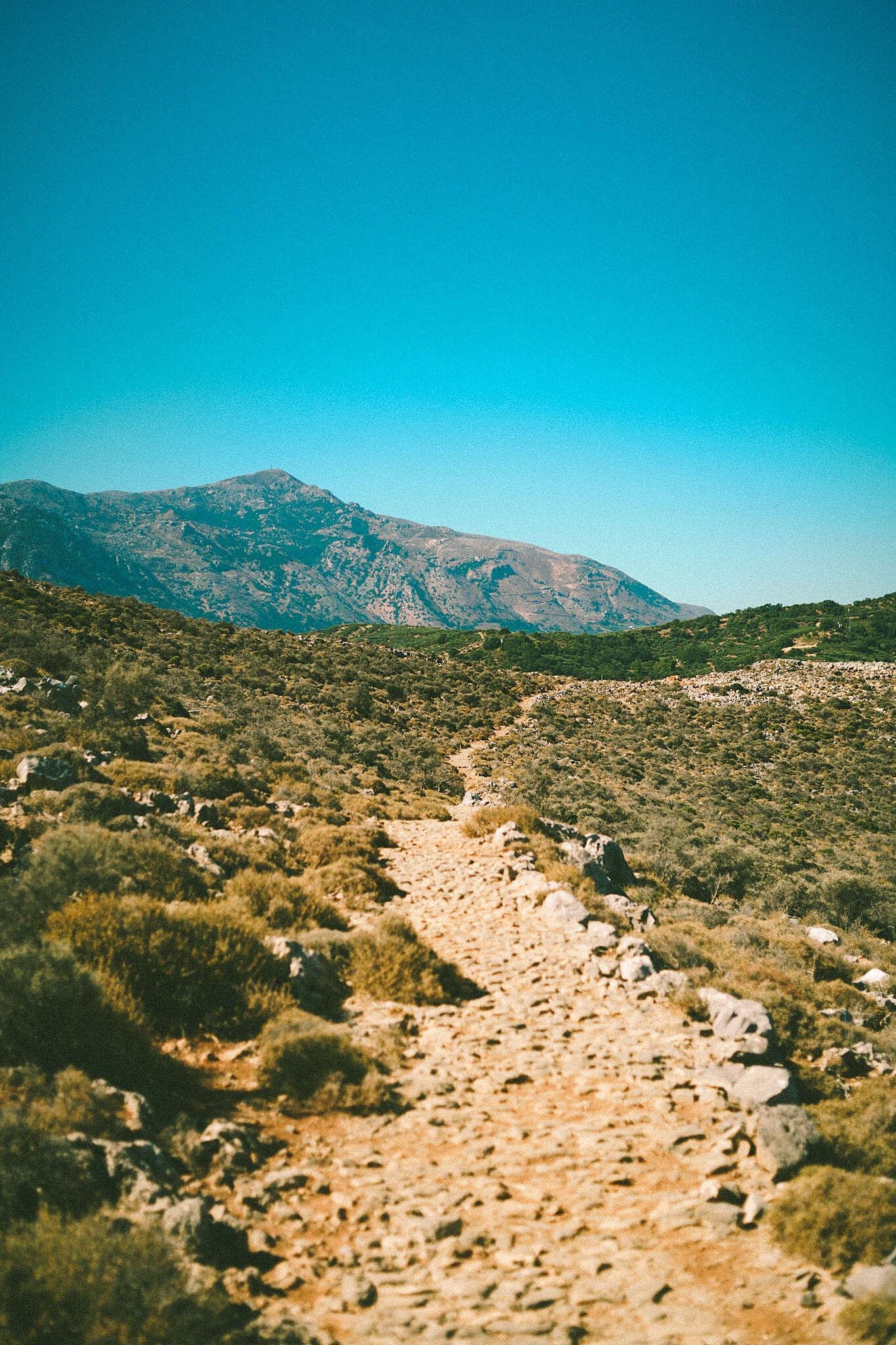 _A7_2481.jpg