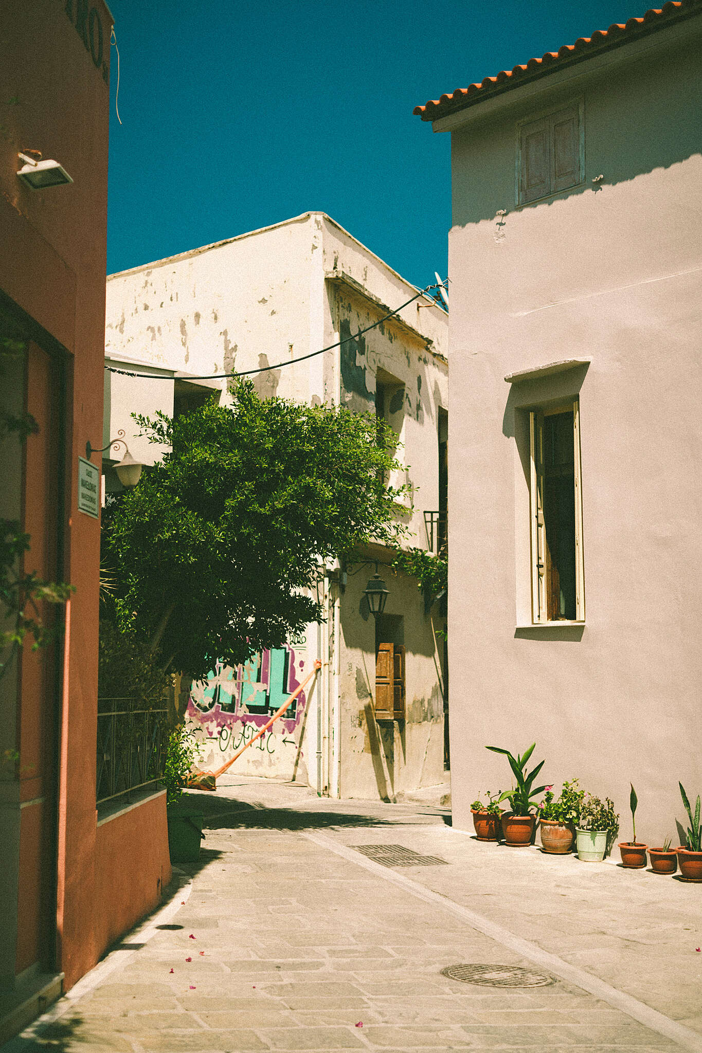 _A7_2602.jpg