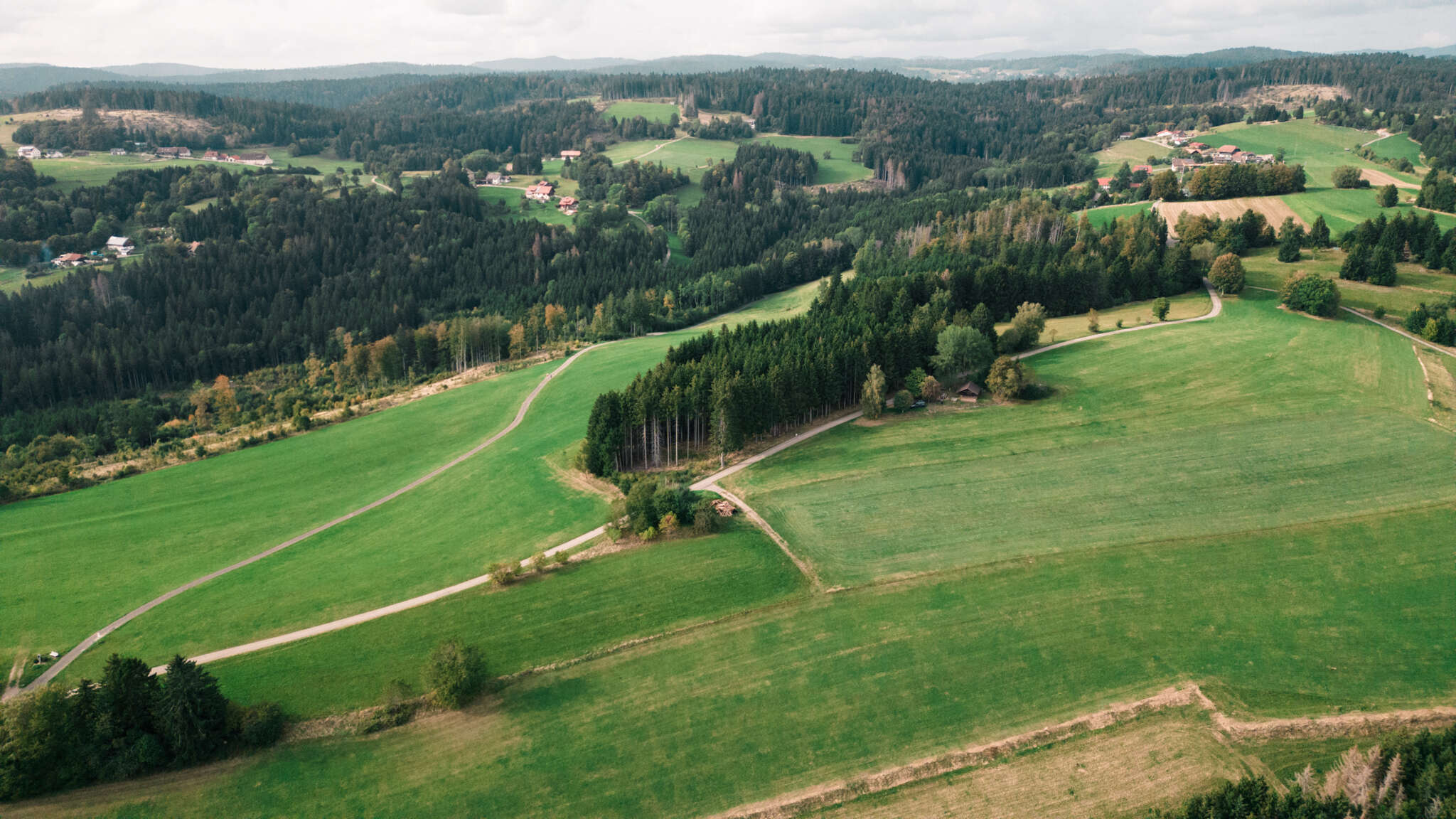 DJI_0372.jpg