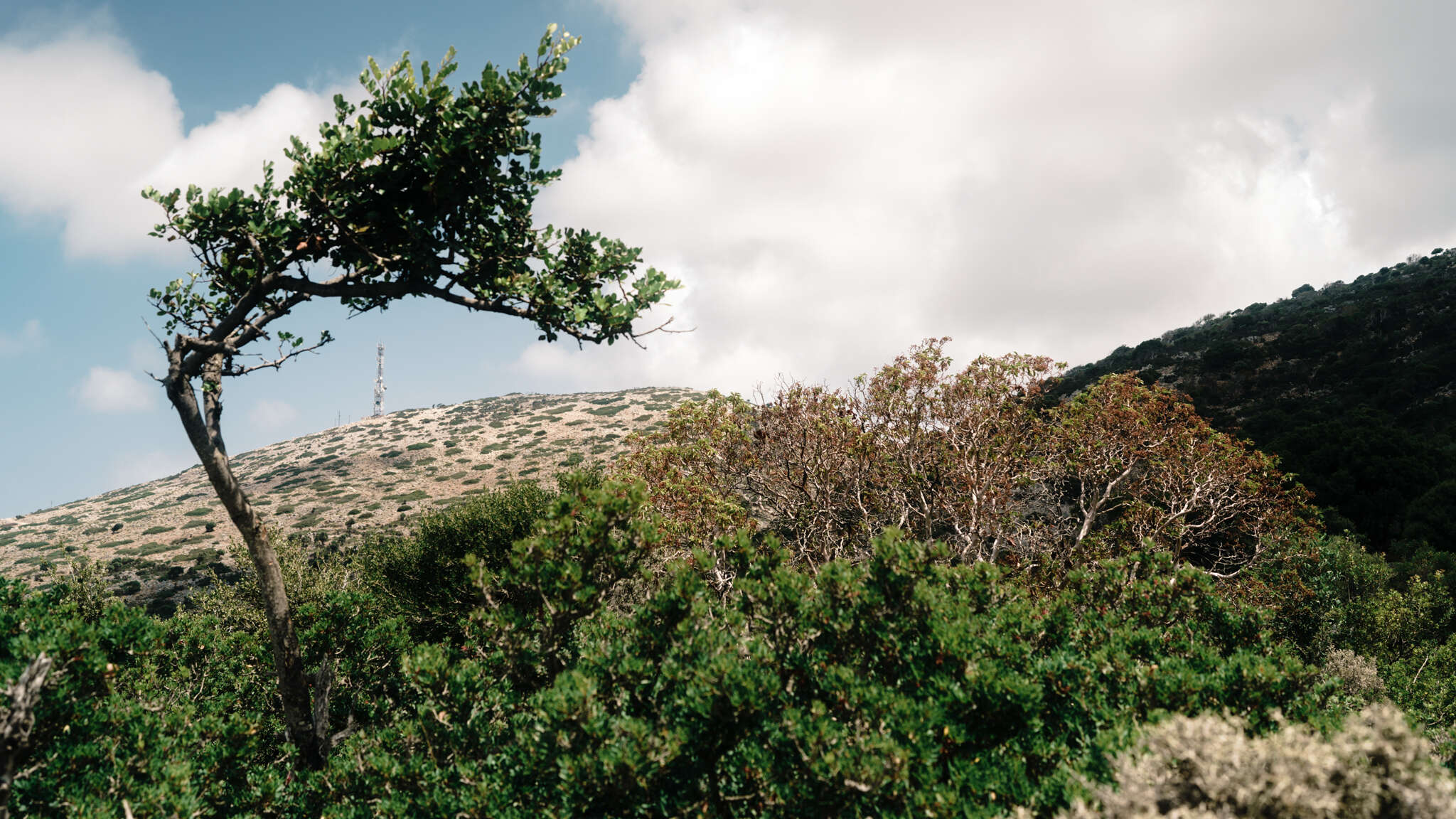 atmospot-083.jpg