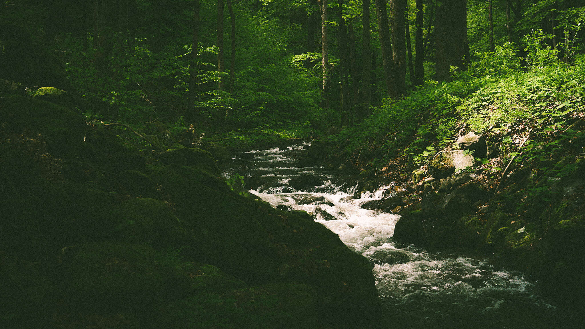 α7-07.jpg