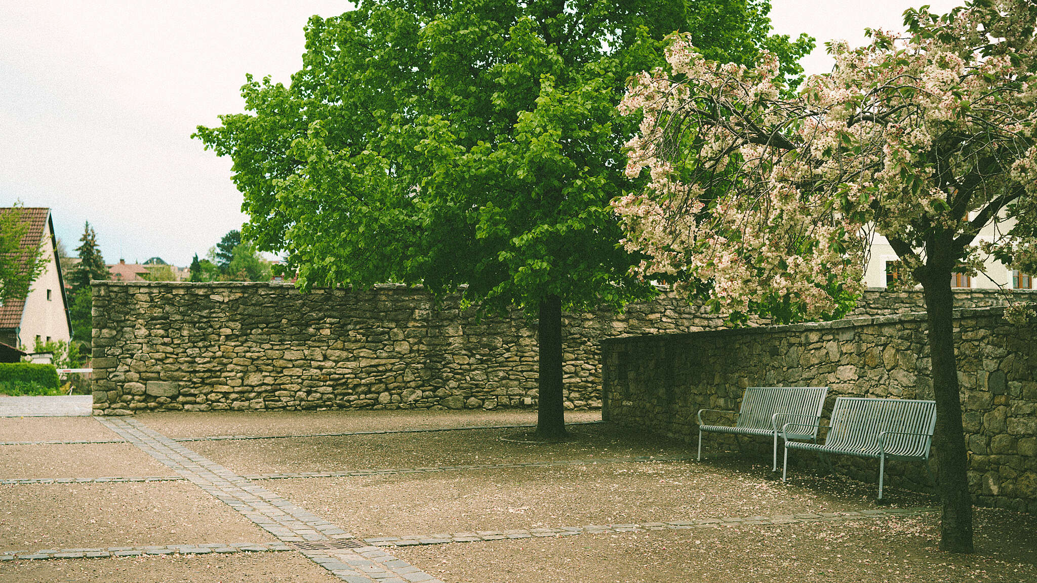 α7-22.jpg