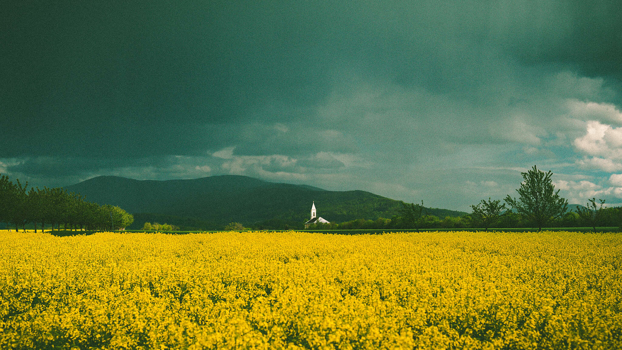 α7-15.jpg