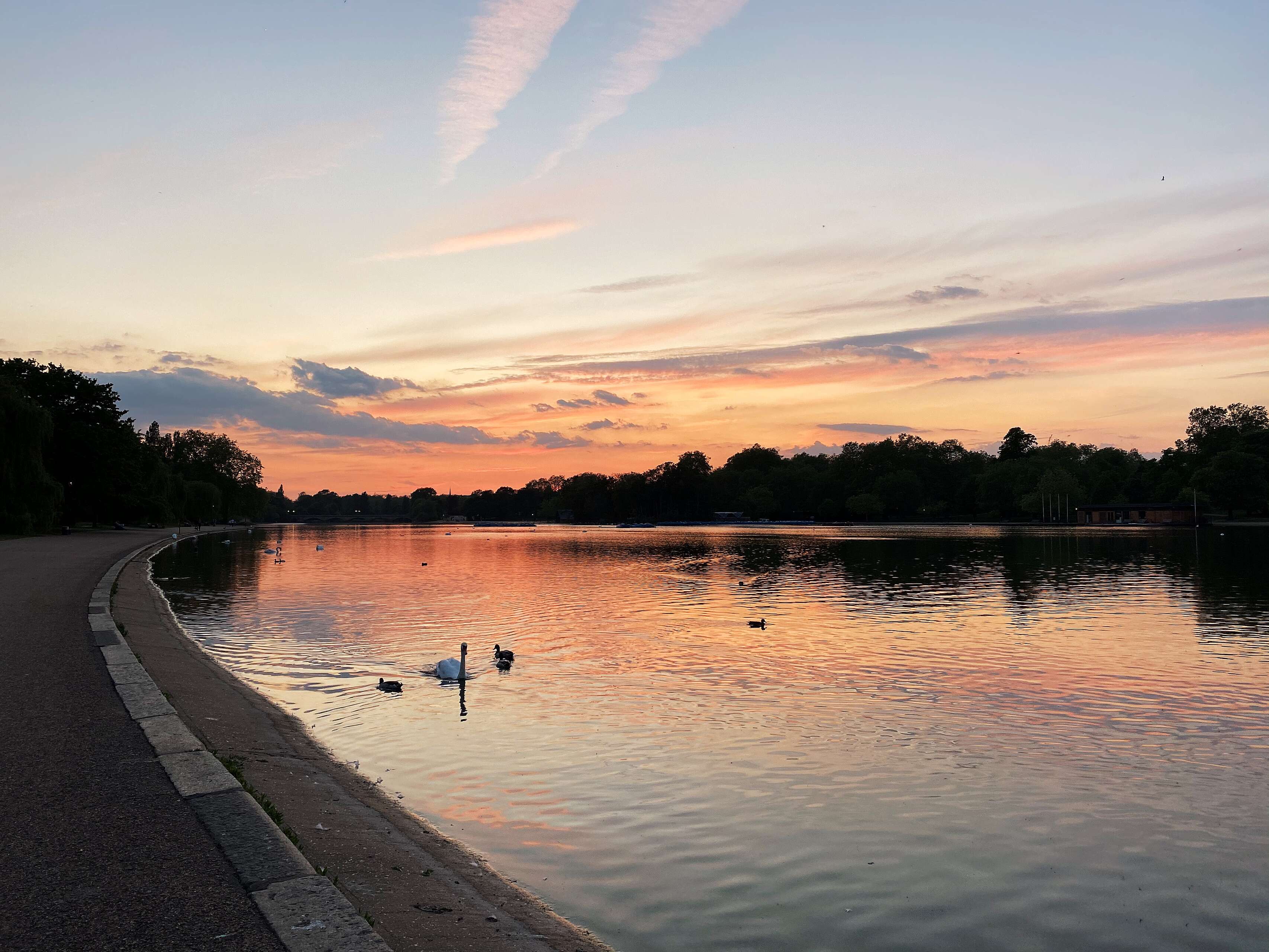 hyde-park.jpg