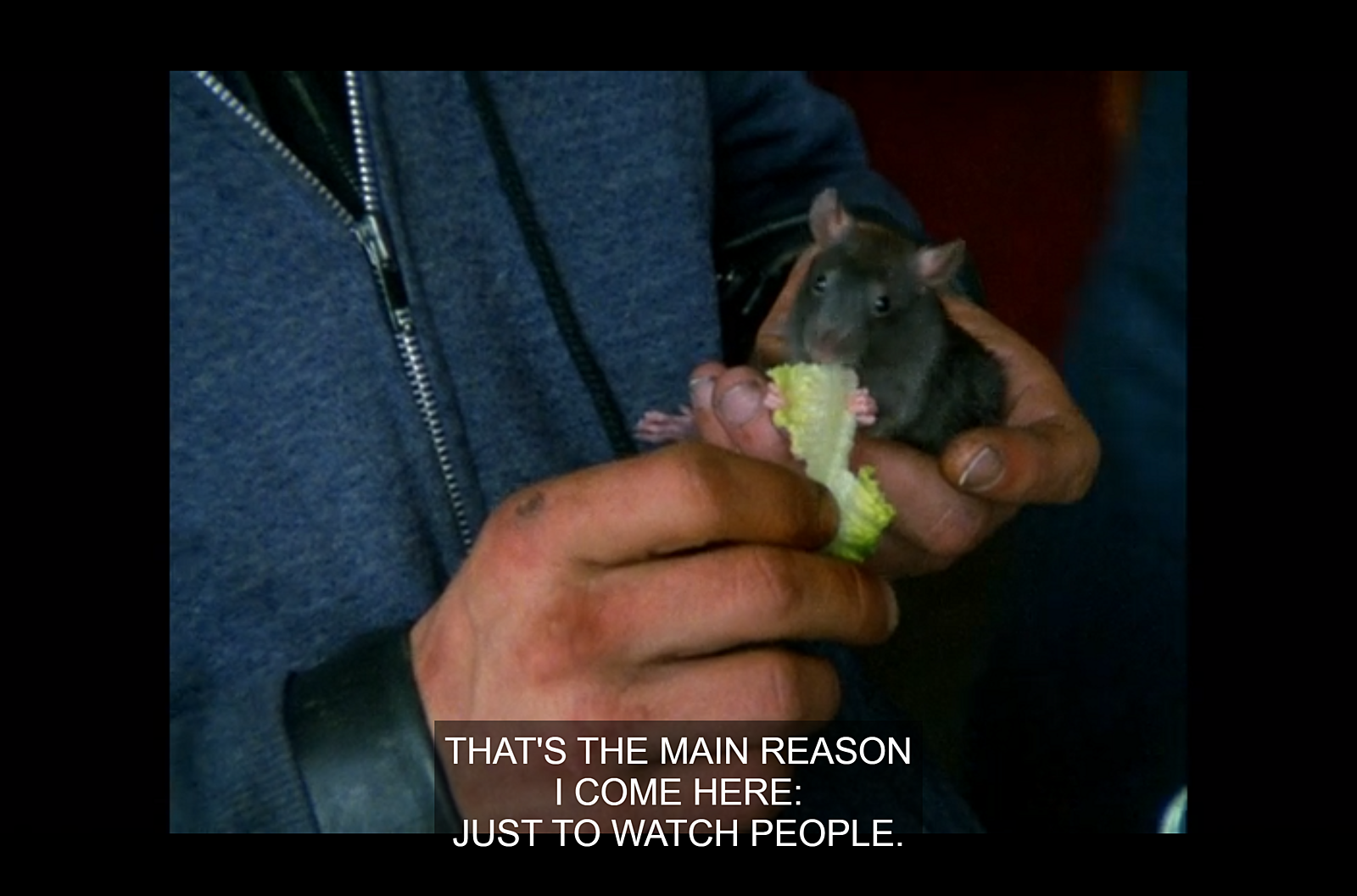 02 mouse feeding.png
