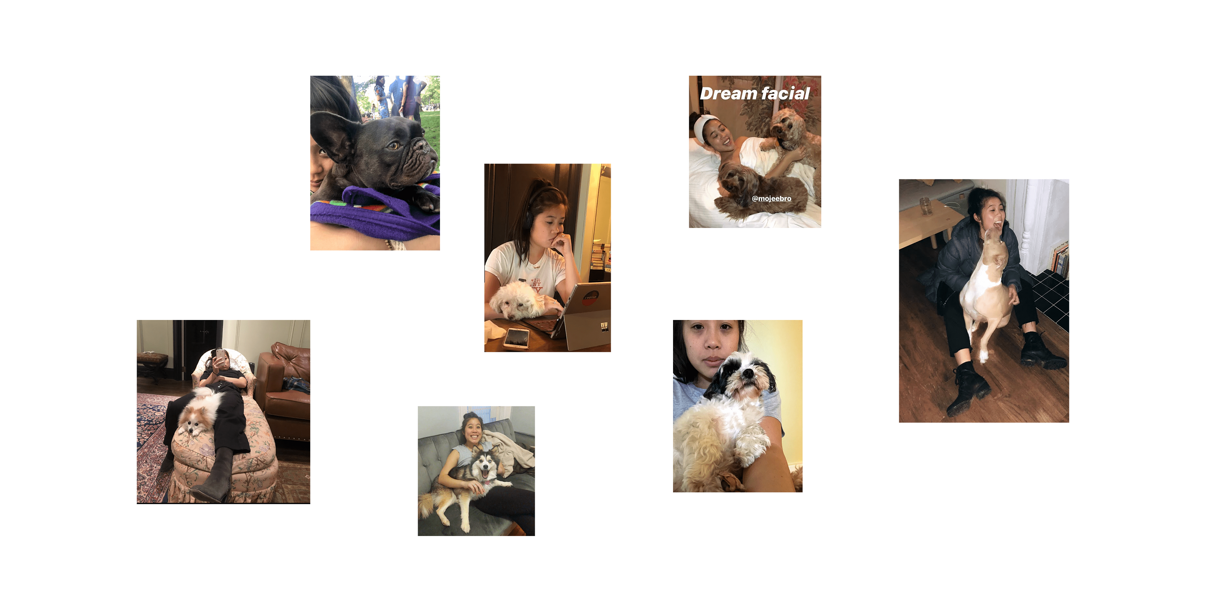 dawgs-min.png