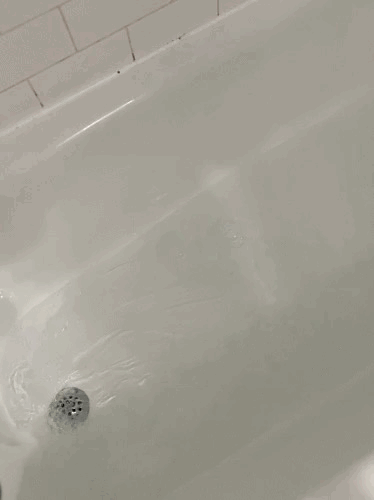 AFB2B8E4-C666-4AFB-86C1-4CE7BE5C6B67.gif