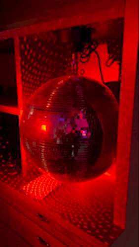IMG_1798.gif