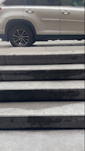 IMG_1433.gif
