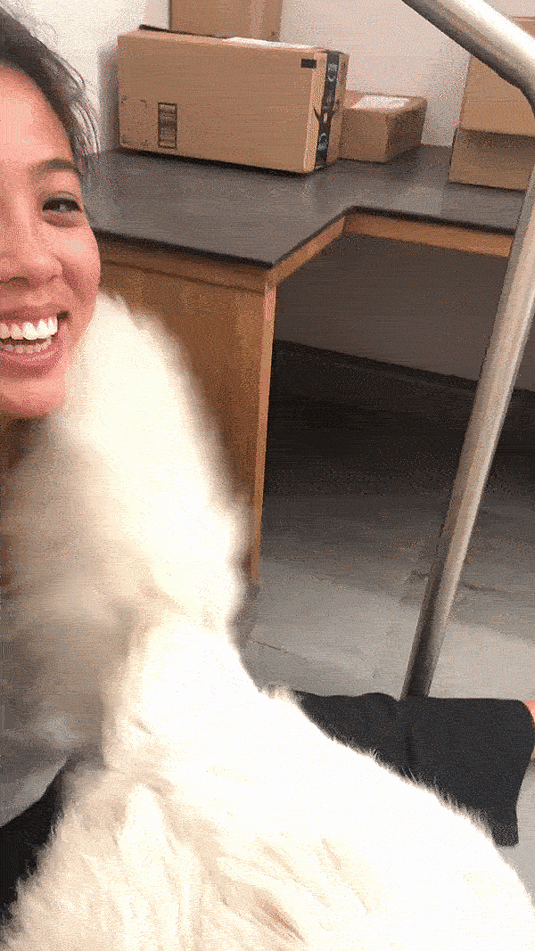 06 jasper.gif