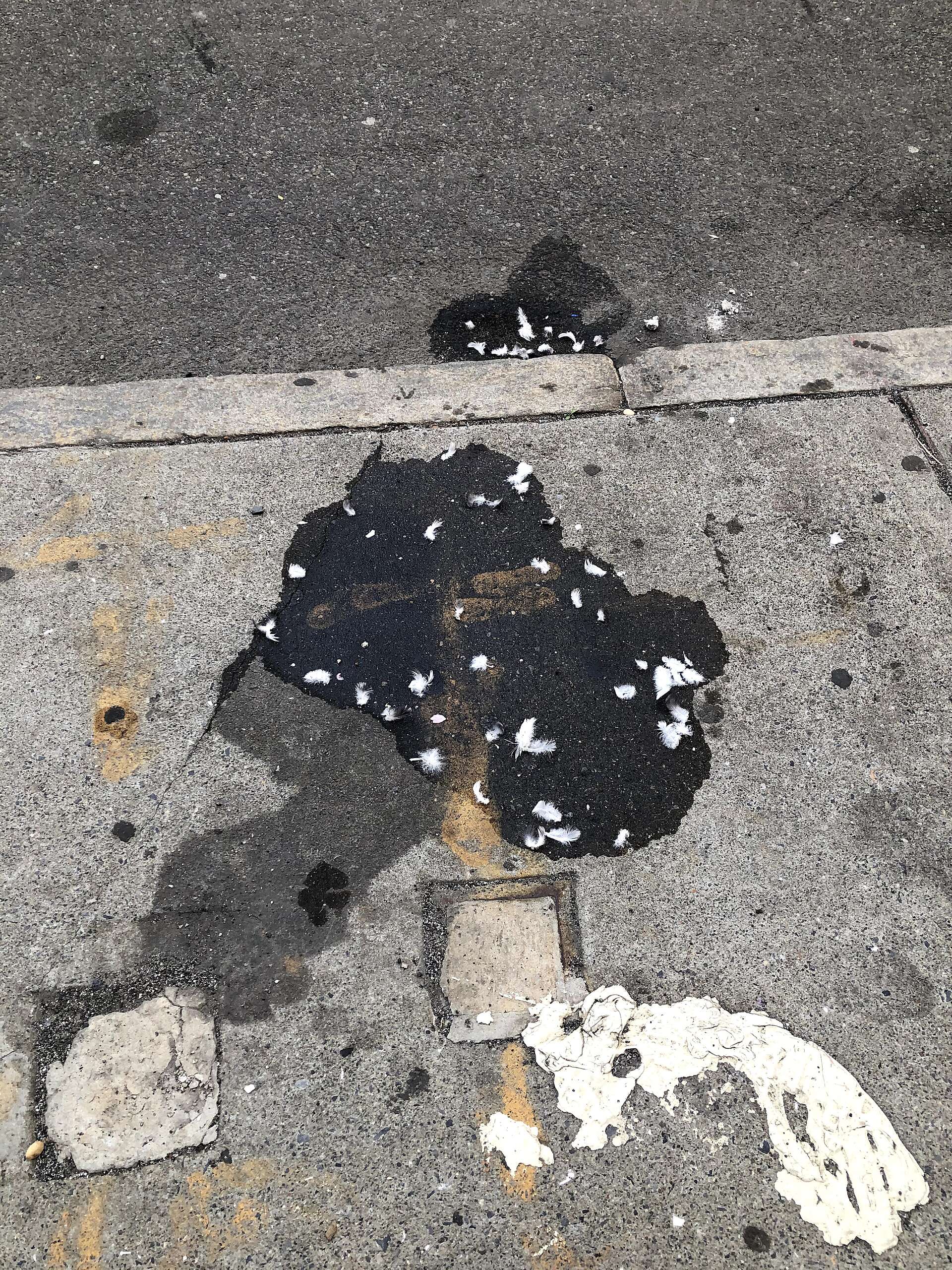 05 tarred and feathered.jpg