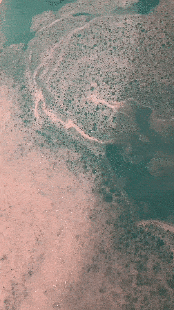 02 solaris.gif