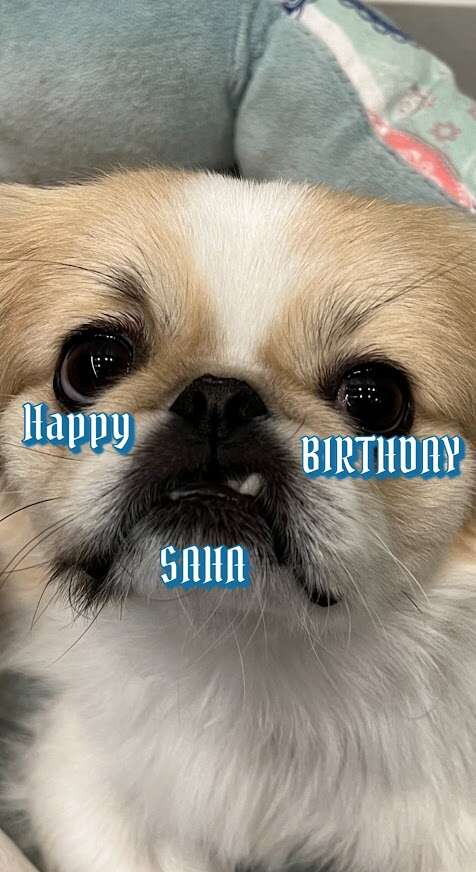 10 HBD.JPG