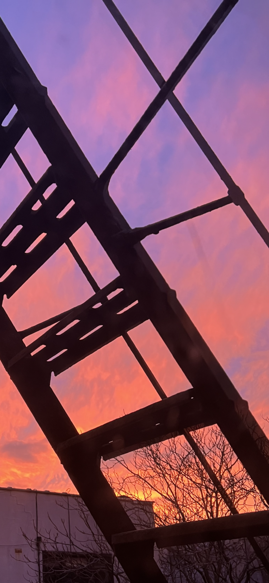IMG_9217.PNG