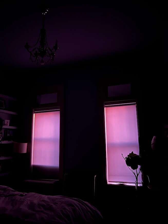 02 purple.jpg