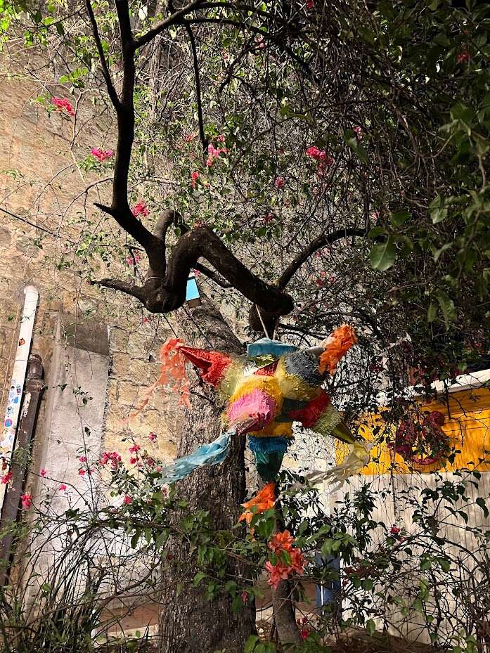oaxaca 11.jpg