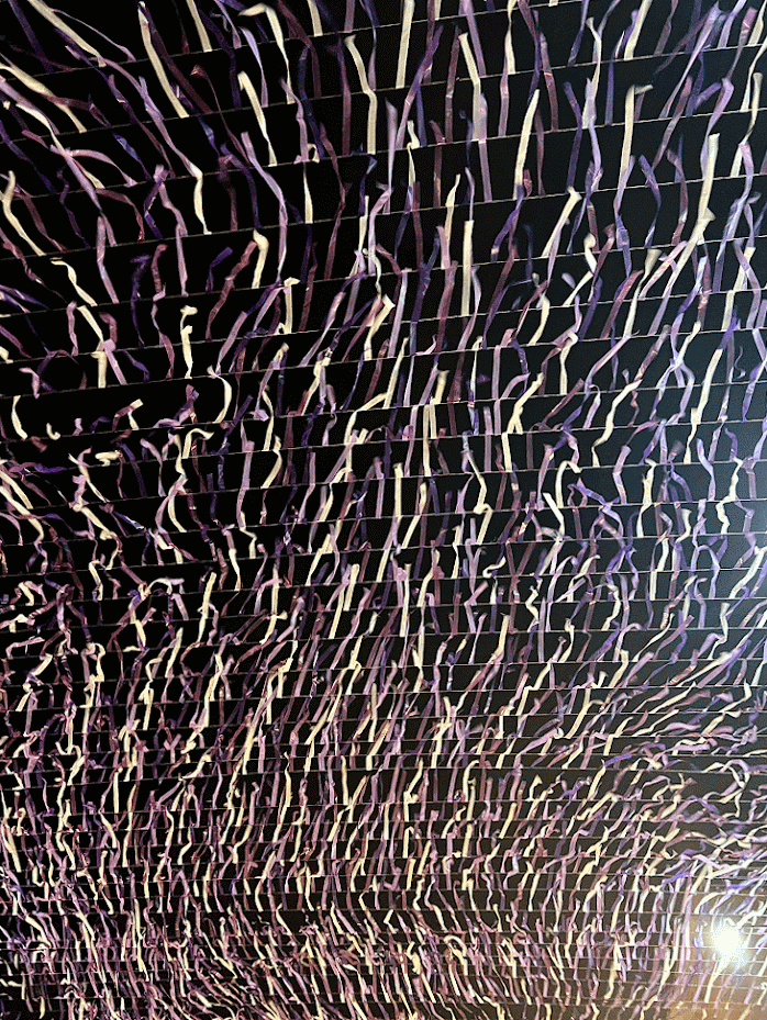 oaxaca 01.gif