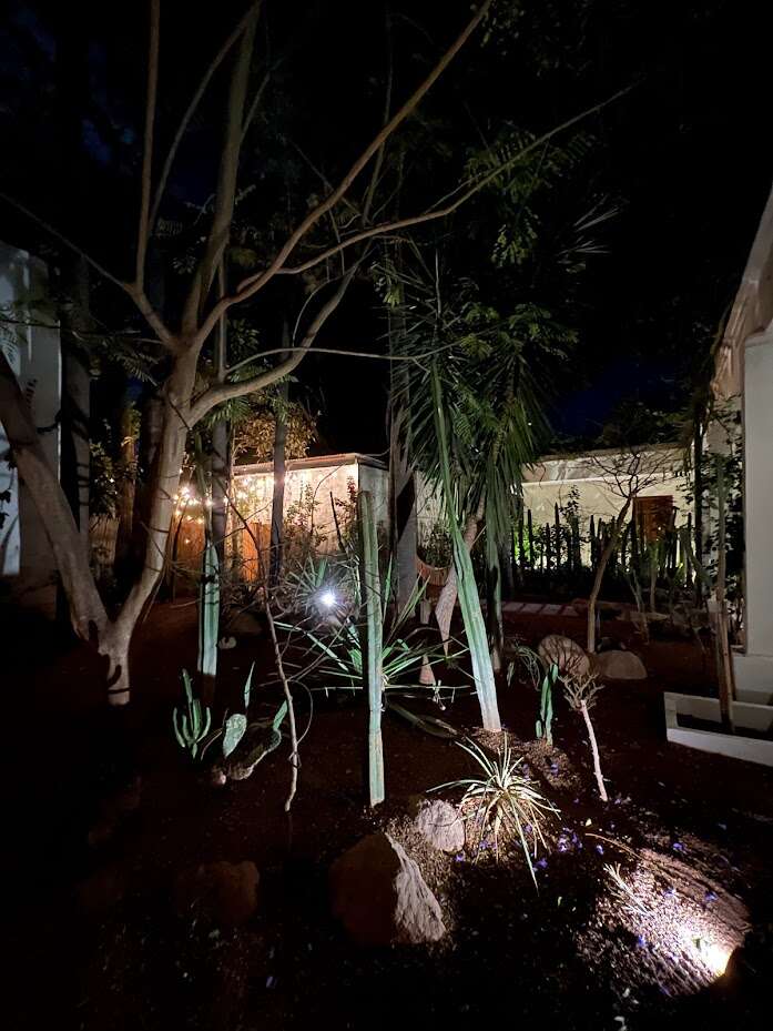 restaurants 04.jpg
