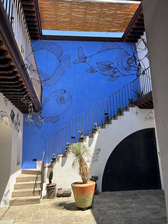 tienda q 01.jpg