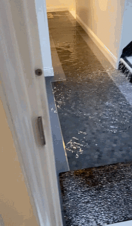 paula's apartment.gif