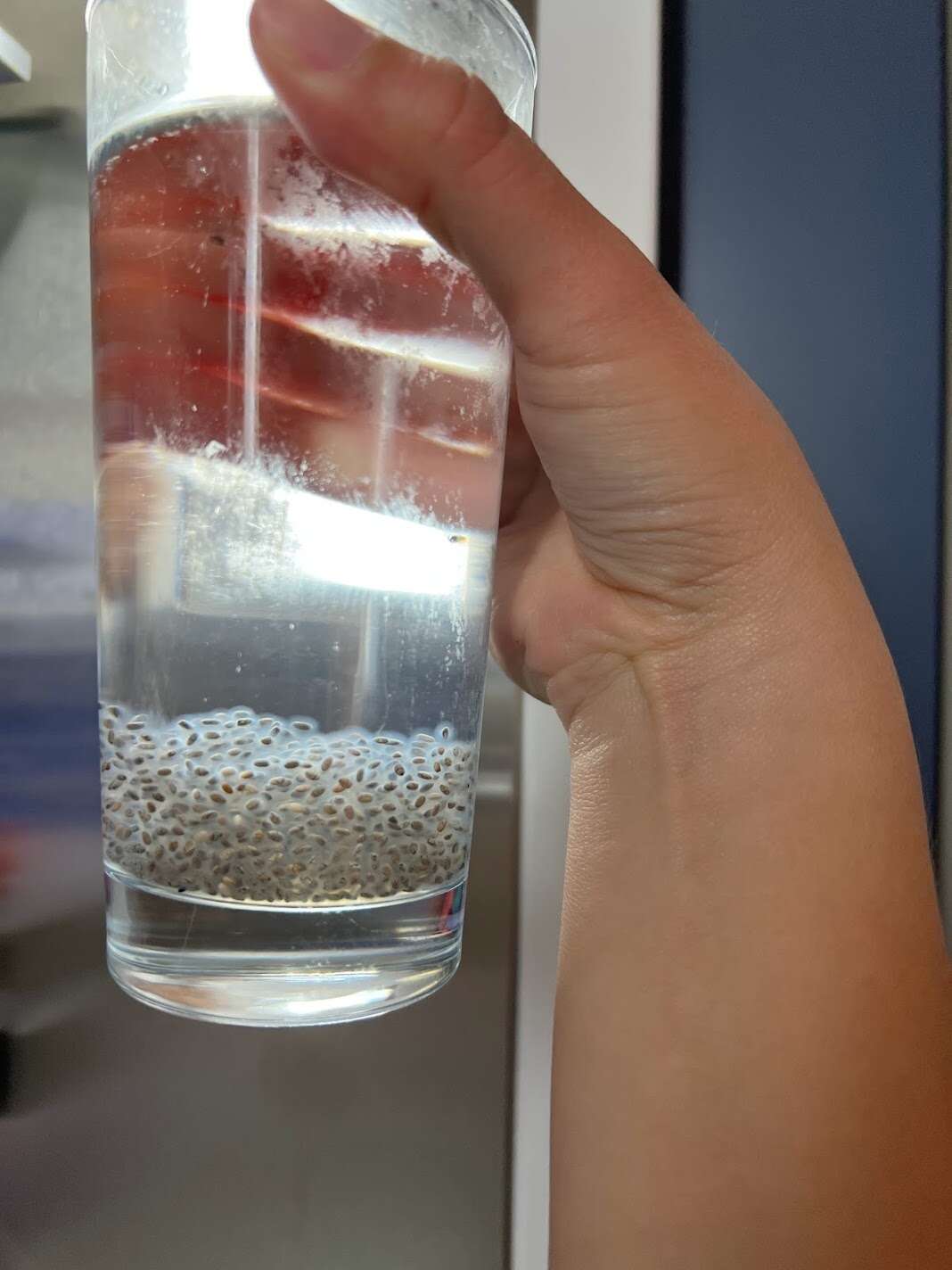 chia.jpg