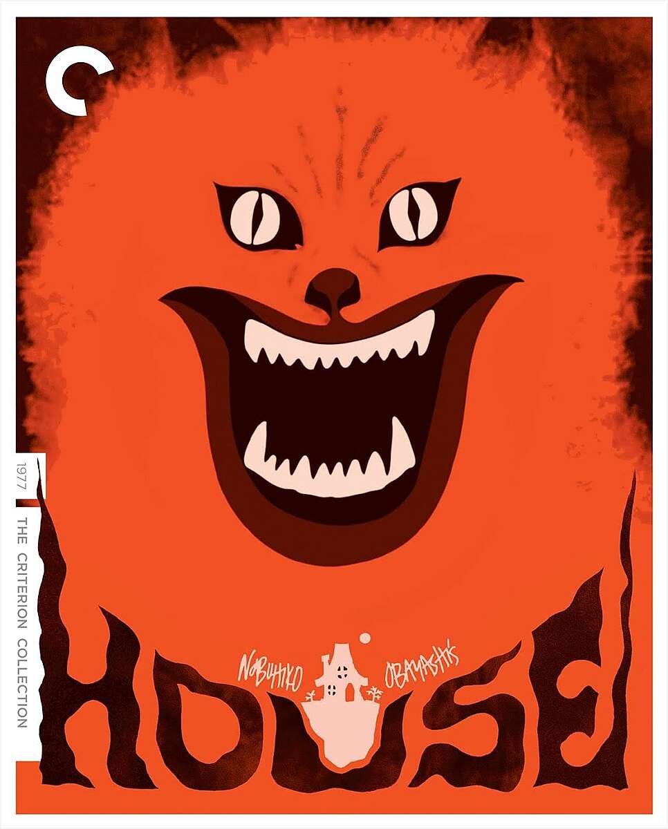 orange 1.JPG