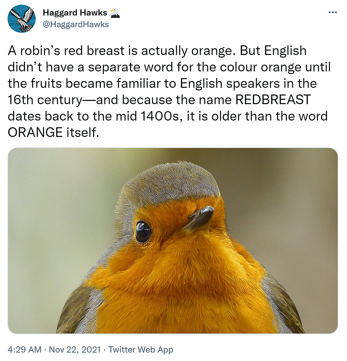 redbreast.png