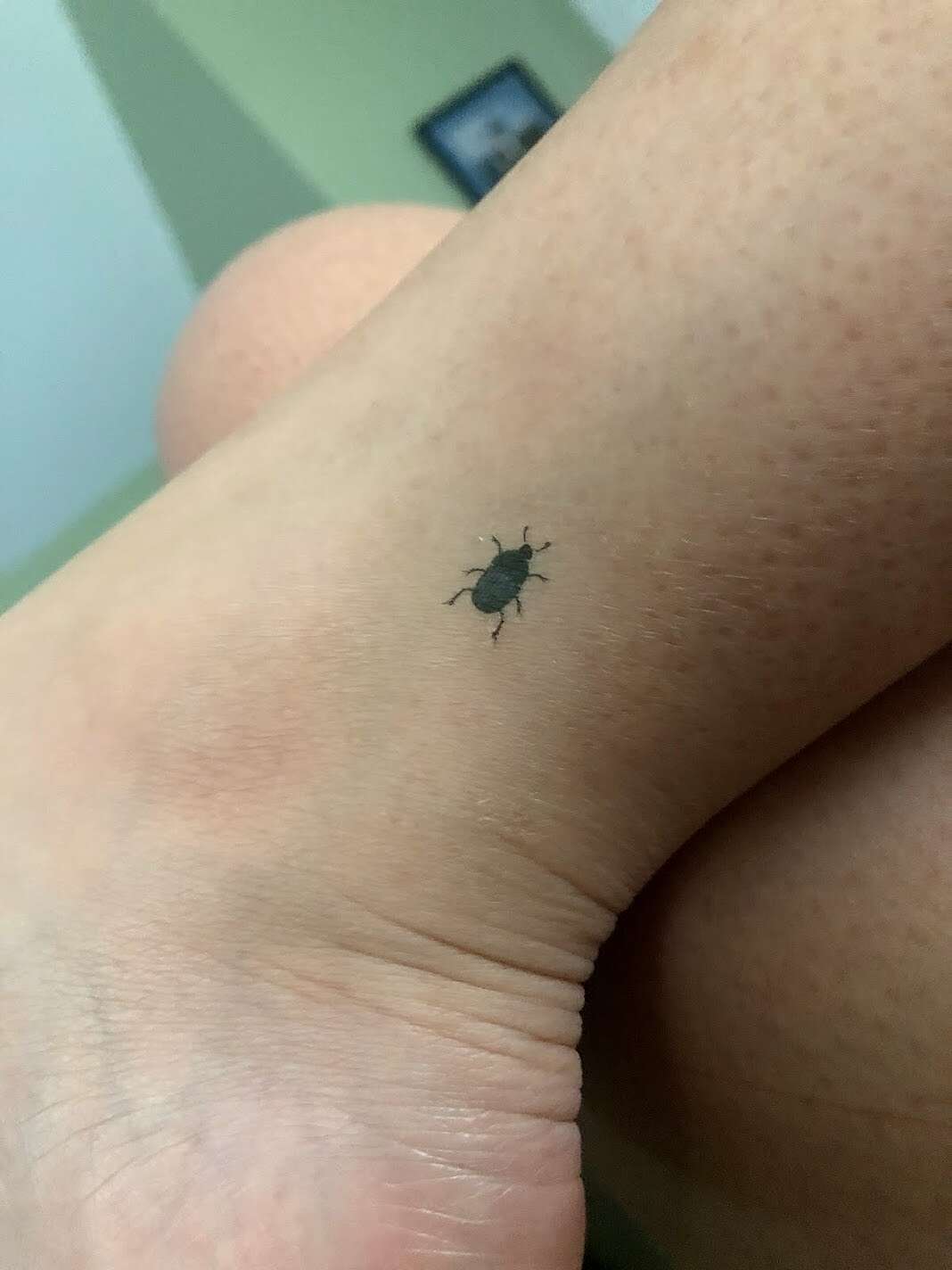 temp tattoo.jpg