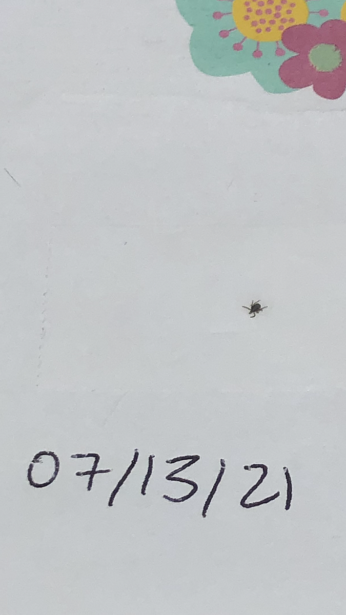 02 RIP tick.PNG