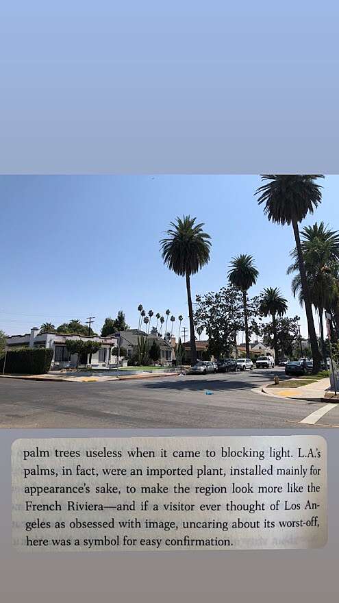 LA 6.jpg