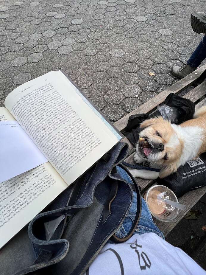 Book 02.jpg
