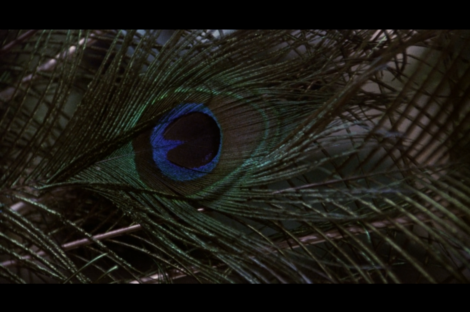 coppola dracula transition 01.png