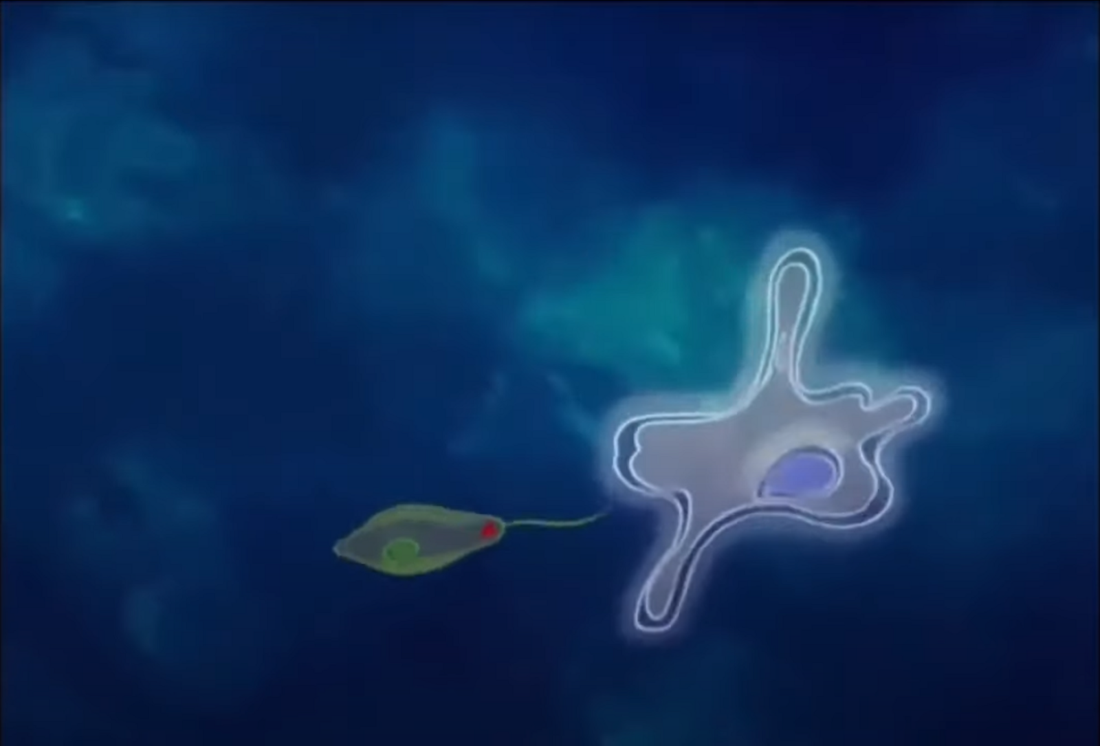 Fantasia 04.png