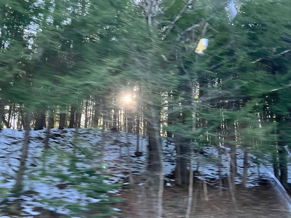 IMG_20240407_164745-ANIMATION.gif